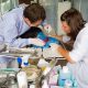 Vet carrying out surgery on a dog