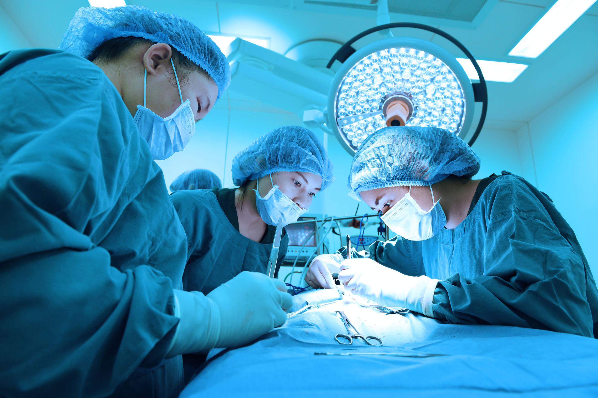 vets in surgery vets in surgery