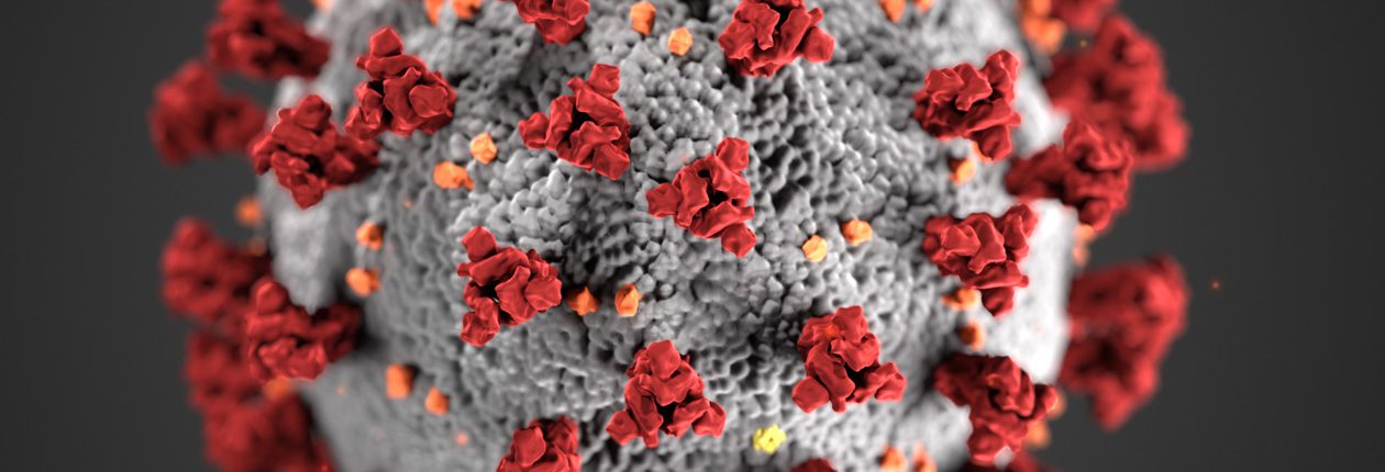 Corona virus