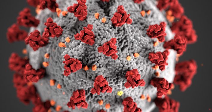Corona virus