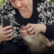 Owner photographs dogs teeth for televeterinary