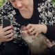 Owner photographs dogs teeth for televeterinary