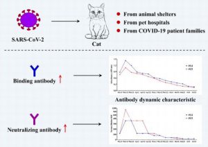 Graphic from abstract of A serological survey of SARS-CoV-2 in cat in Wuhan