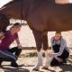 emale vet looking at horse leg in a field