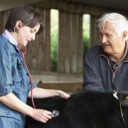 Farmer and vet