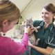 cat examination by vet