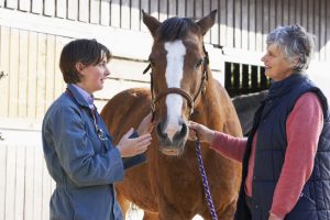 Vet in discussion with horse owner