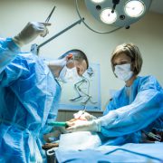 Surgery on the dog in veterinary clinic