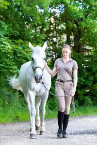 Horse walking