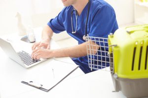 vet working at desk