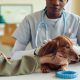 Dachshund and vet and owner