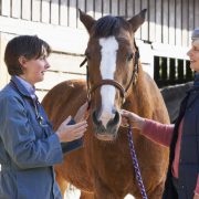 Vet in discussion with horse owner