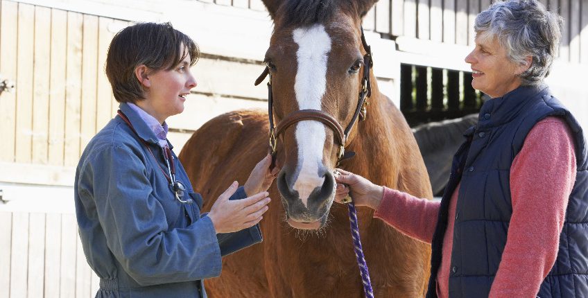Vet in discussion with horse owner