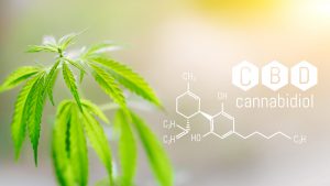 cannabidiol leaves and chemical formula