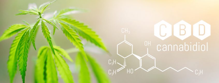 cannabidiol leaves and chemical formula